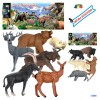 Busta Animali Selvatici Alta Montagna , Ass di Givi, Ginocchio