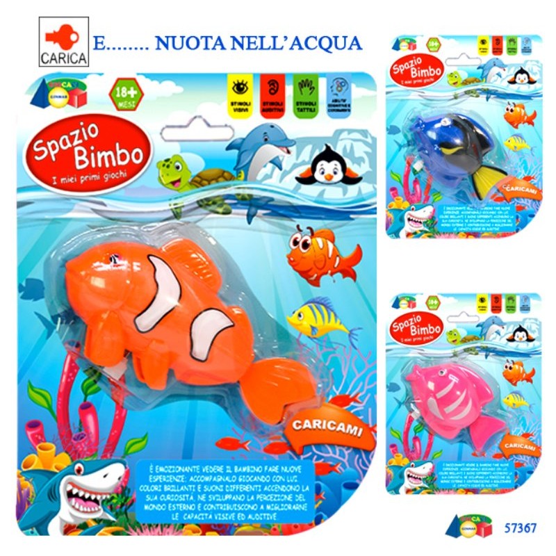 Set Pesce Tropicale di Givi, Ginocchio