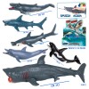 Pesce Oceanico Morbido di Givi, Ginocchio