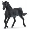 Stallone Arabo (Horse Club - Price Grey) di Schleich Horse Club