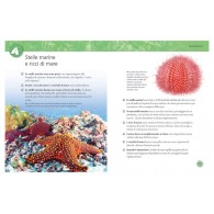 Libro Primo Sapere - L'Enciclopedia degli Animali di Edicart Style Srl