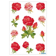 Etichette Herma Decor Rose