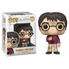 Hp Anniversary Harry W/The Stone (Pop! Vinyl - Harry Potter) di Funko Lcc