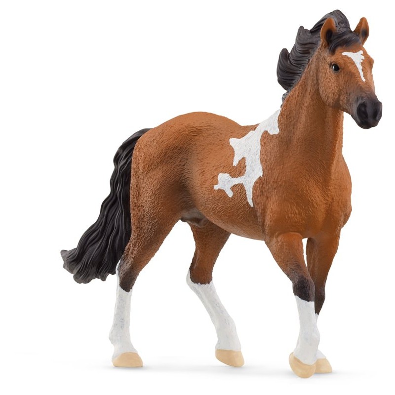 Stallone Mangalarga Marchador (Horse Club - Price Grey) di Schleich Horse Club