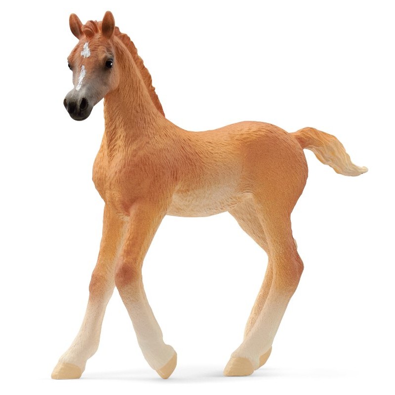 Puledro Arabo (Horse Club - Price Red) di Schleich Horse Club