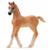 Puledro Arabo (Horse Club - Price Red) di Schleich Horse Club