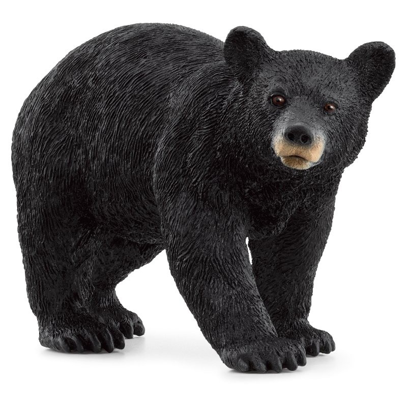 Orso Nero Americano (Wild Life - Price Yellow) di Schleich Wild Life