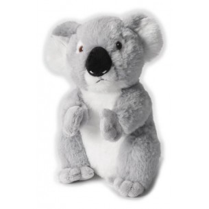Koala Medio (Grs) di Venturelli