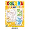Confezione 24 Libretti da Colorare Assortimento 2 di Hedison Editrice