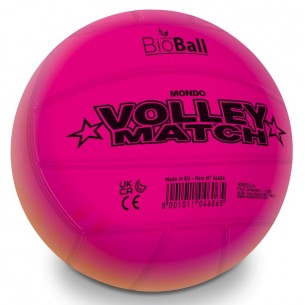 Rainbow Match Pallone Pvc Diam.216 Sgonfio con Retina di Mondo