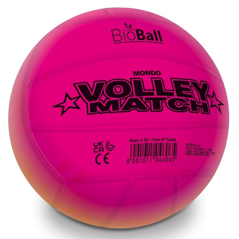 Rainbow Match Pallone Pvc Diam.216 Sgonfio con Retina di Mondo