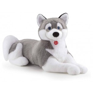 Husky Marcus Jumbo di Trudy Classic Cani