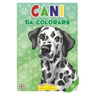 Cf.24 Libri Coloro As3 di Hedison Editrice
