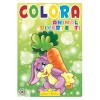 Cf.24 Libri Coloro As3 di Hedison Editrice
