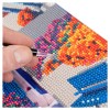 Diamantiny Quadro su Tela Assortimento 2 di Nice