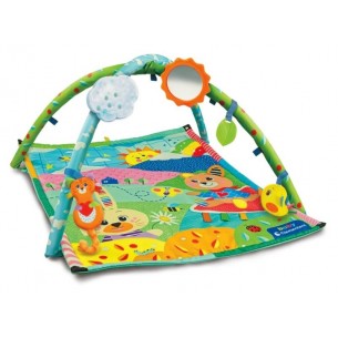 My First Discoveries Activity Gym di Clem-01 Baby For You