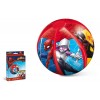 Spider-Man Palla Gonfiabile Diam. 50 di Mondo
