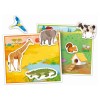 Montessori gli Animali di Clem-05 Edu Giochi Sapientino