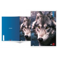 Maxi 80gr 4m Animal di Bm