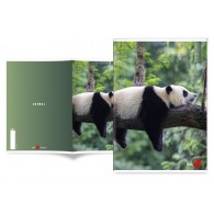Maxi 80gr 1r Animal di Bm