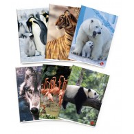 Maxi 80gr 1r Animal di Bm
