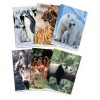 Maxi 80gr 1r Animal di Bm