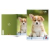 Maxi 80gr 0a Cute di Bm