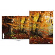 Maxi 80gr 1r Landscape di Bm
