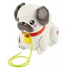 Carlino Cammina con Me di Mattel Fisherprice