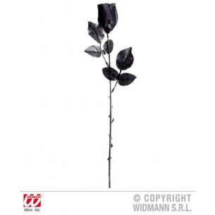 Rosa Nera Display Box da 48 - 44cm di Widmann