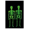 2 Scheletrini D'App. G.I.D. H.Cm.33 Ca. in Busta C/Cav. di Carnival-Toys