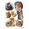 Etichette Herma Decor Gatti