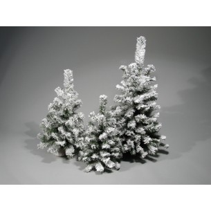 Pinetto Innevato H. 40cm di Tabor