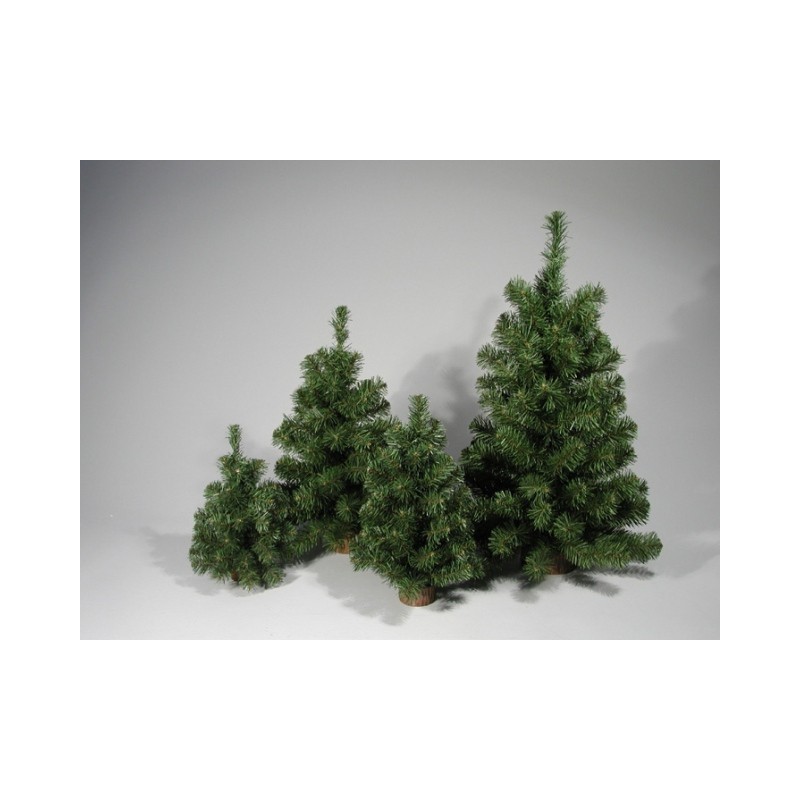 Pinetto Ecology Cm.40 Verde di Tabor