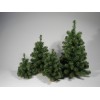Pinetto Ecology Cm.40 Verde di Tabor