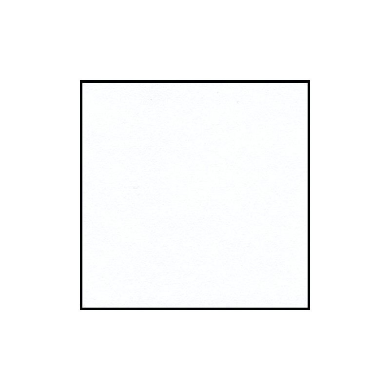 Confezione 50 Fogli A4 Vivaldi 185gr Colore Bianco di Hamelin Canson