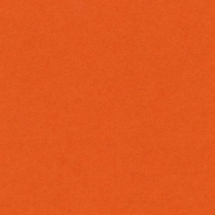 Confezione 50 Fogli A4 Vivaldi 185gr Colore Arancio di Hamelin Canson