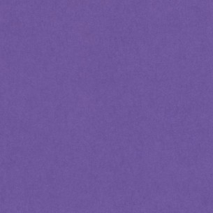 Confezione 50 Fogli A4 Vivaldi 185gr Colore Viola di Hamelin Canson