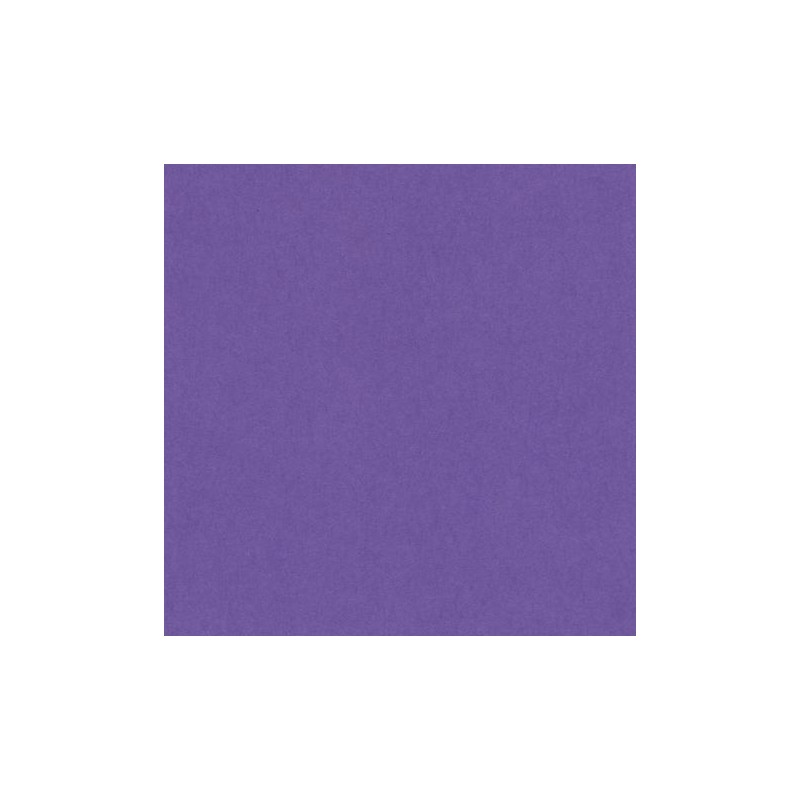 Confezione 50 Fogli A4 Vivaldi 185gr Colore Viola di Hamelin Canson