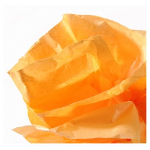 Rotolo Carta Velina 05x5mt Arancione di Hamelin Canson