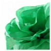 Rotolo Carta Velina 05x5mt Verde Felce di Hamelin Canson