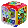 Super Cubo delle Scoperte di Vtech Infant