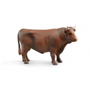 Toro Marrone di Bruder