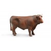 Toro Marrone di Bruder