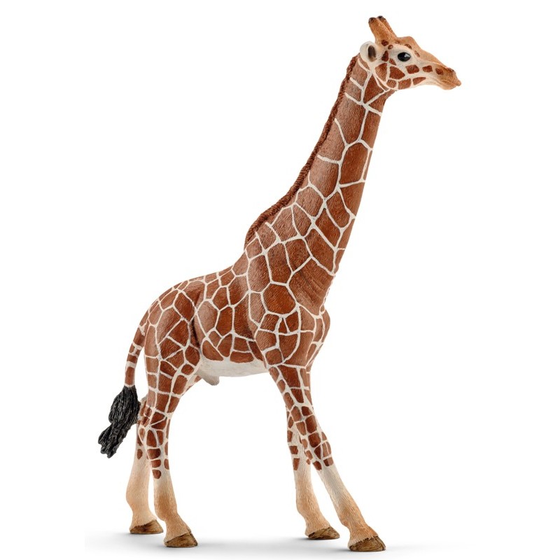 Giraffa Maschio (Wild Life - Price Grey) di Schleich Wild Life