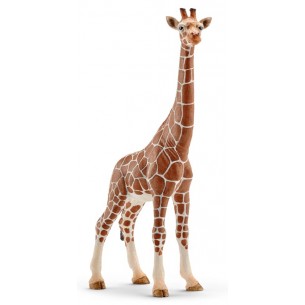 Femmina di Giraffa (Wild Life - Price Grey) di Schleich Wild Life