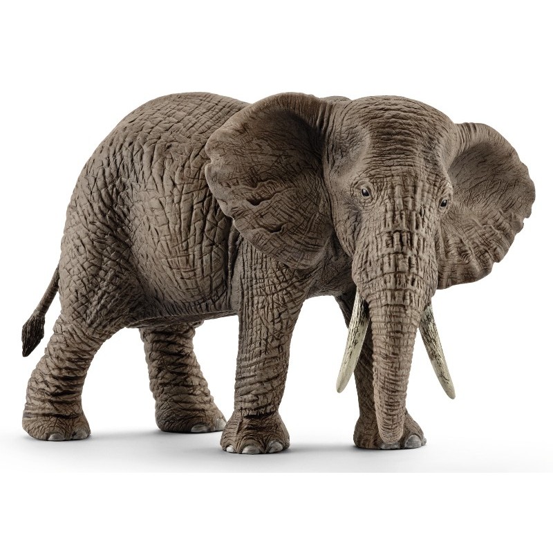 Femmina di Elefante Africano (Wild Life) di Schleich Wild Life