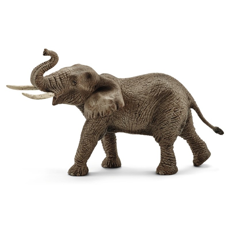 Elefante Africano Maschio (Wild Life) di Schleich Wild Life