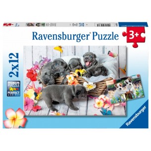 Puzzle 2x12 Pz Piccole Palle di Pelo di Ravensburger