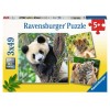 Puzzle 3x49 Panda, Tigre e Leone 3 X 49 Pz di Ravensburger Puzzle 3x49 Pz